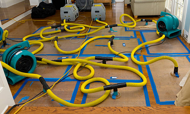 Professional Crawl Space Water Removal technician working in Georgetown, IL